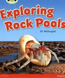Bug Club Non-fiction Green C Exploring Rock Pools - Jill McDougall