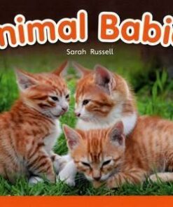 Bug Club Non-fiction Red B (KS1) Animal Babies - Sarah Russell
