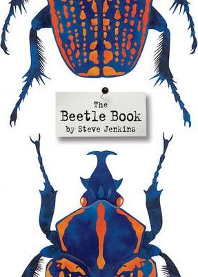 The Beetle Book - Steve Jenkins