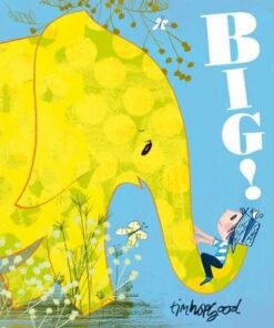 Big! - Tim Hopgood