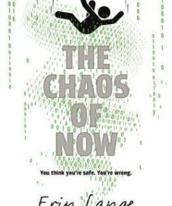 The Chaos of Now - Erin Lange