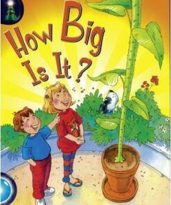 Turquoise: Book 6: How Big Is It? - Meg Jones