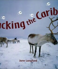White: Book 5: Tracking The Caribou - Jane Langford