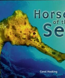 White: Book 6: Horses Of The Sea - Carol Hosking