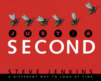 Just a Second - Steve Jenkins