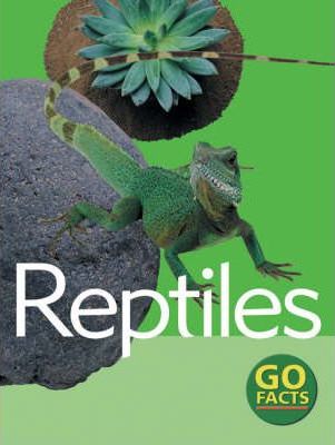 Reptiles - Paul McEvoy