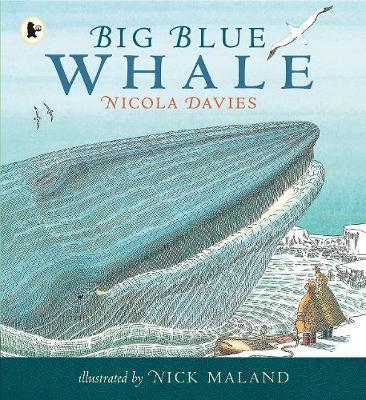 Big Blue Whale - Nicola Davies