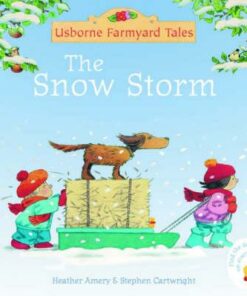 The Snow Storm - Heather Amery