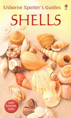 Shells - Graham D Saunders