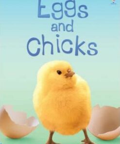 Eggs and Chicks - Fiona Patchett