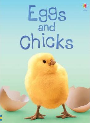 Eggs and Chicks - Fiona Patchett
