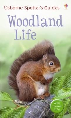 Woodland life - Usborne