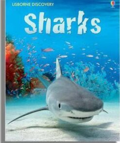 Sharks - Jonathan Sheikh-Miller