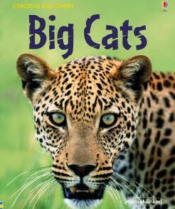 Big Cats - Jonathan Sheikh-Miller