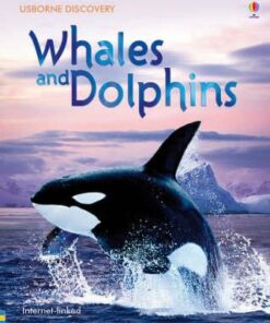 Whales and Dolphins - Susanna Davidson