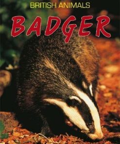 British Animals: Badger - Michael Leach