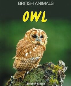 British Animals: Owl - Stephen Savage
