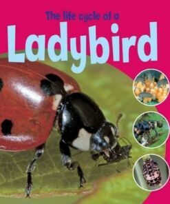 Learning About Life Cycles: The Life Cycle of a Ladybird - Ruth Thomson