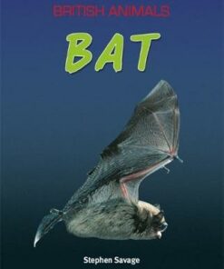 British Animals: Bat - Stephen Savage