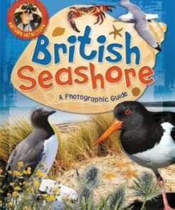 Nature Detective: British Seashore - Victoria Munson