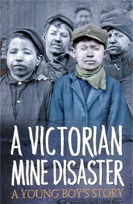 Survivors: A Victorian Mine Disaster: A Young Boy's Story - Neil Tonge
