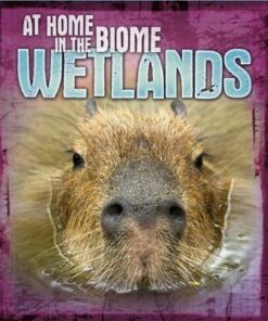 At Home in the Biome: Wetlands - Louise Spilsbury