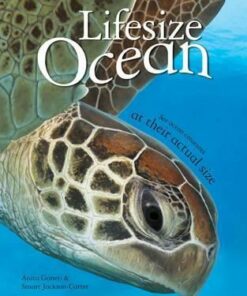 Lifesize Ocean - Anita Ganeri