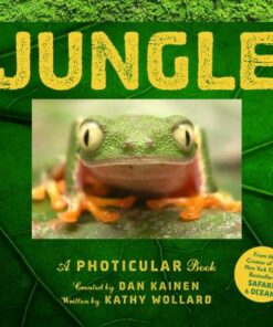 Jungle - Dan Kainen