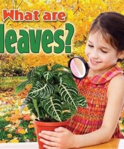 What Are Leaves - Kelley MacAulay