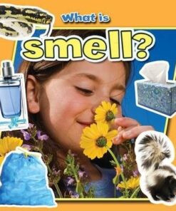What is Smell? - Molly Aloian