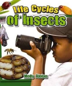 Life Cycles of Insects - Molly Aloian