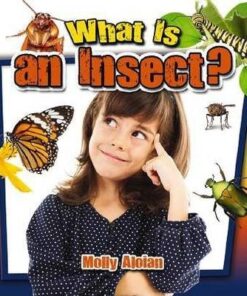 What is an insect? - Molly Aloian