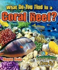 What Do You Find in a Coral Reef? - Ecosystems Close-Up - Megan Kopp