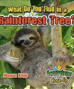 What Do You Find in a Rainforest Tree? - Ecosystems Close-Up - Megan Kopp