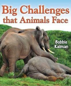 Big Challenges that Animals Face - Big Science Ideas - Bobbie Kalman