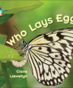 Who Lays Eggs? - Clare Llewellyn