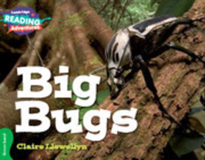 Big Bugs - Claire Llewellyn