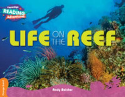 Life on the Reef - Andy Belcher