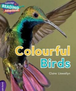 Colourful Birds - Claire Llewellyn