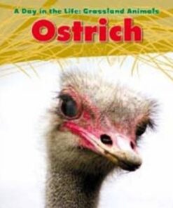 Ostrich - Louise Spilsbury