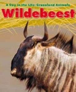 Wildebeest - Louise Spilsbury