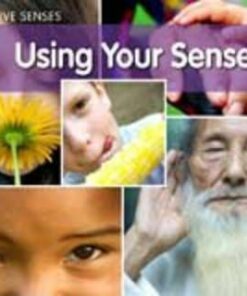 Using Your Senses - Rebecca Rissman