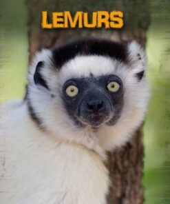Lemurs - Claire Throp