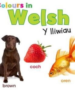 Colours in Welsh: Y lliwiau - Daniel Nunn
