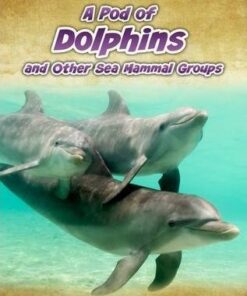 A Pod of Dolphins: and Other Sea Mammal Groups - Richard Spilsbury