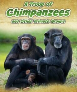 A Troop of Chimpanzees: and Other Primate Groups - Richard Spilsbury