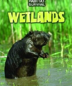 Wetlands - Buffy Silverman