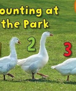 Counting at the Park - Rebecca Rissman