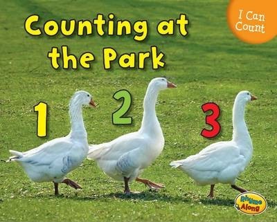 Counting at the Park - Rebecca Rissman