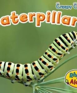 Caterpillars - Rebecca Rissman